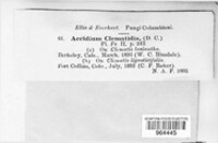 Image Associated With the Occurence